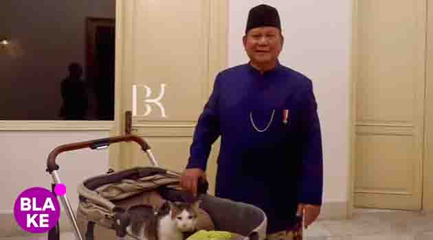 Mengapa Orang Berwatak Keras Bisa Luluh dengan Kucing?