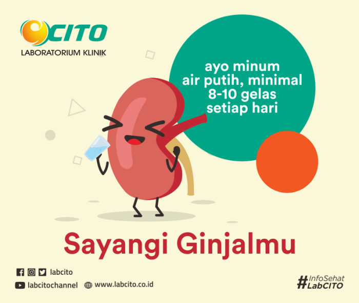 Cara Mudah Menjaga Kesehatan Ginjal - Laboratorium Medis - Klinik Utama ... Cegah Penyakit Ginjal Lewat Gaya Hidup Sehat