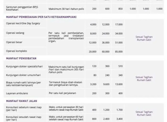 Pentingnya Asuransi Kesehatan untuk Perlindungan Finansial