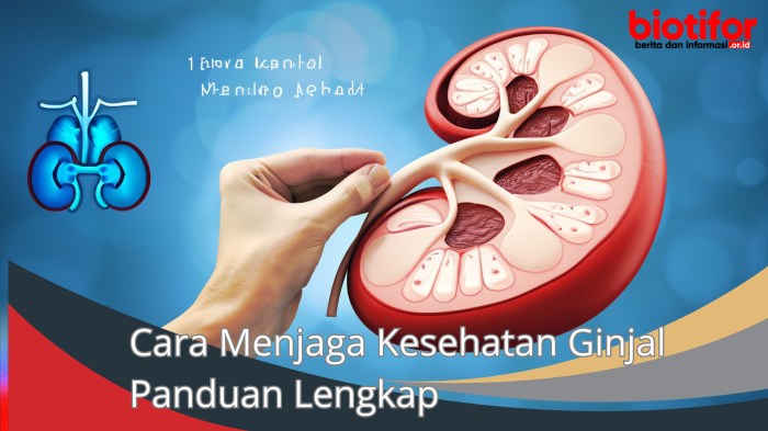 Cara Menjaga Kesehatan Ginjal Panduan Lengkap