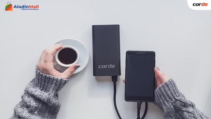 Berikut Aksesoris Gadget yang Wajib Dimiliki, Sudah Punya? Tips Menyusun Aksesori Gadget Biar Rapi