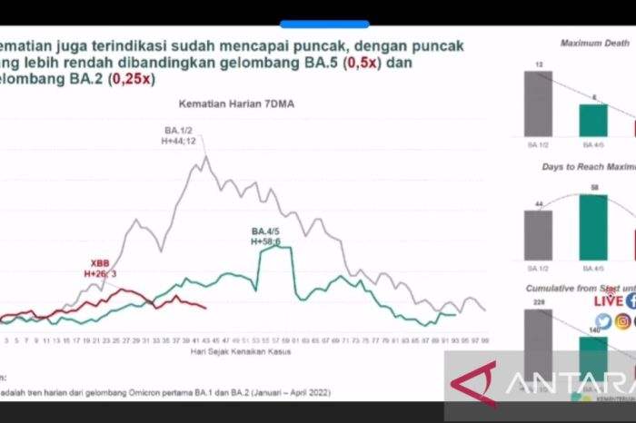 Laporan Kasus Tuberkulosis (TBC) Global dan Indonesia 2022 | Yayasan ... Update Kasus Penyakit Menular di Indonesia Terbaru