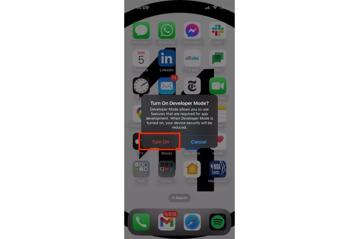 How to enable Developer Mode on an iPhone or iPad Cara Aktifkan Fitur Developer Mode di iPhone